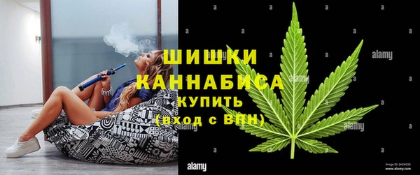 ГАЛЛЮЦИНОГЕННЫЕ ГРИБЫ Верея