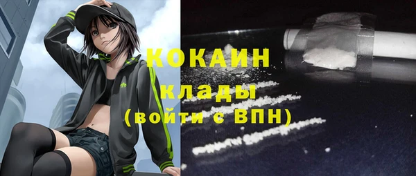 ГАЛЛЮЦИНОГЕННЫЕ ГРИБЫ Верея