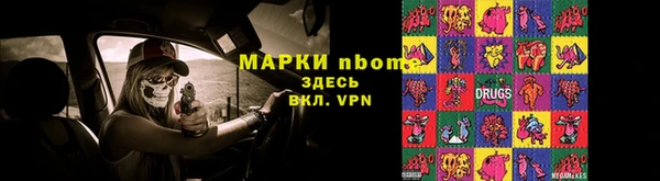 ГАЛЛЮЦИНОГЕННЫЕ ГРИБЫ Верея