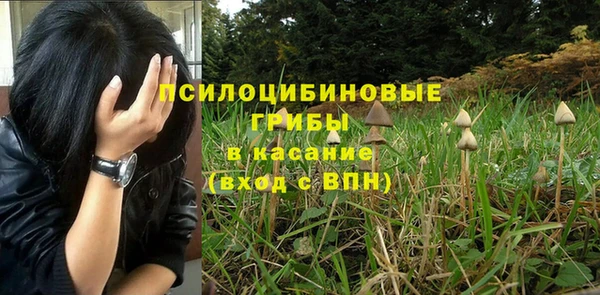 трава Верхний Тагил
